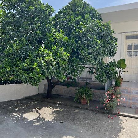 Rooms For Rent Habipi فلورا المظهر الخارجي الصورة