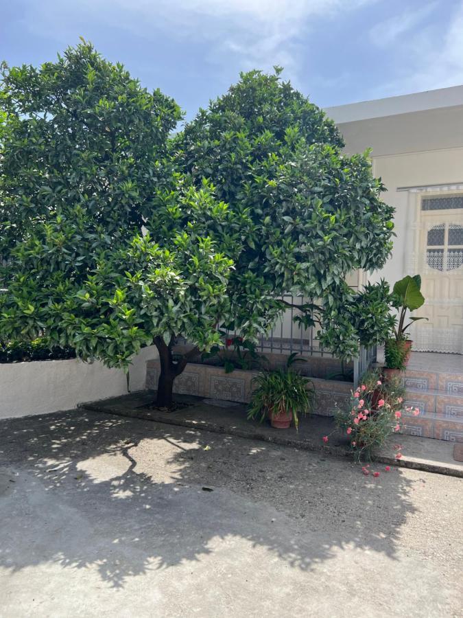 Rooms For Rent Habipi فلورا المظهر الخارجي الصورة